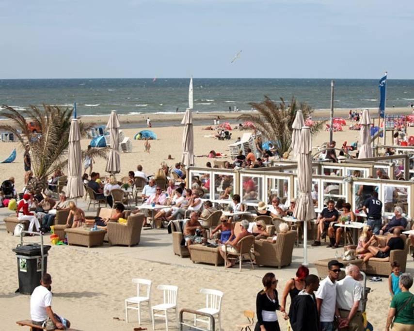 Stella Maris Dune Apartment Zandvoort Exteriér fotografie